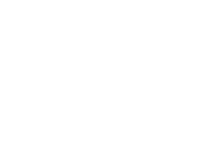 tg-toptracer-range-logo-vertical